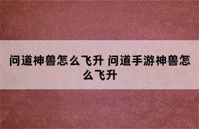 问道神兽怎么飞升 问道手游神兽怎么飞升